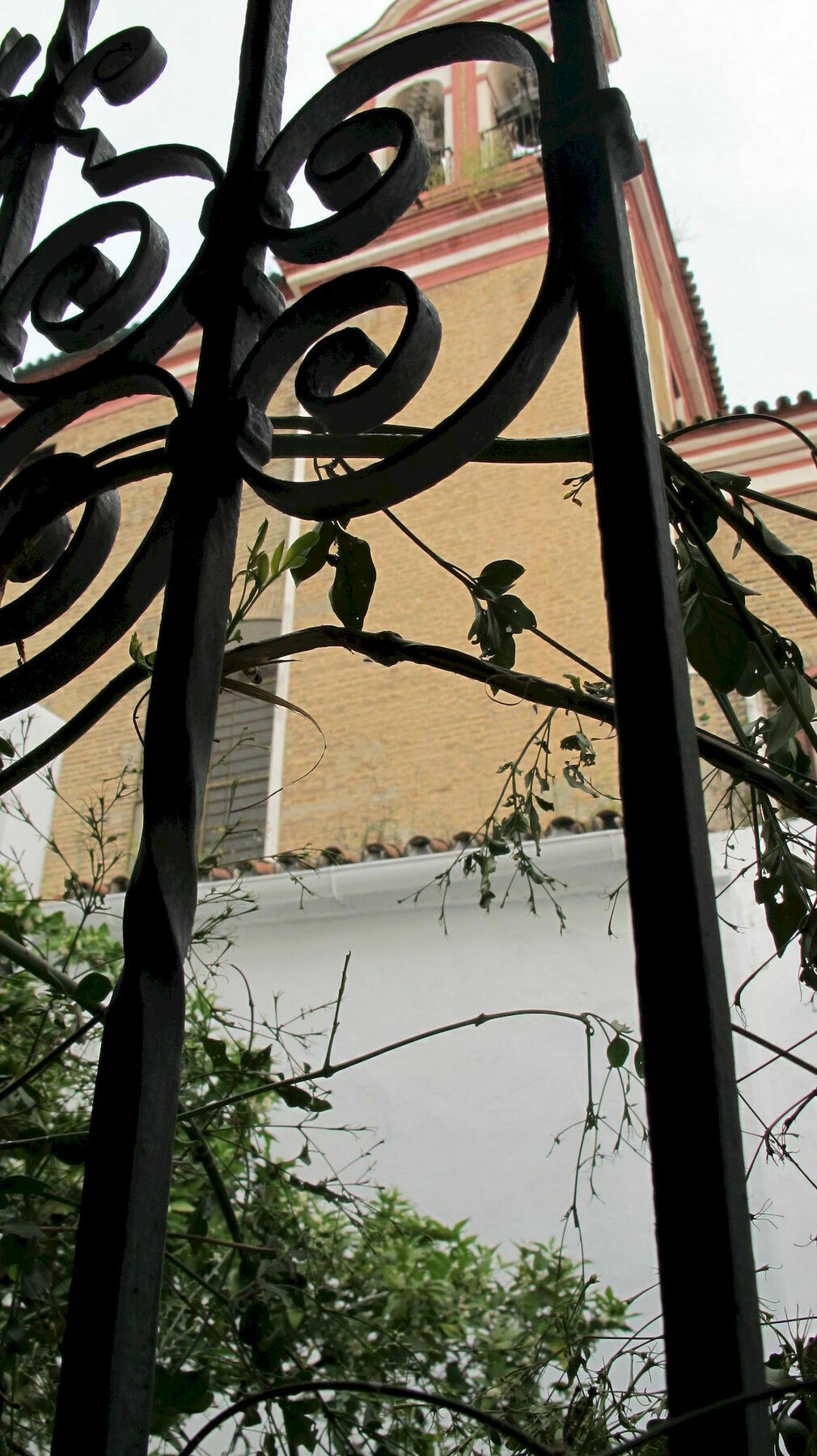 Selecta Venerables * Sevilla