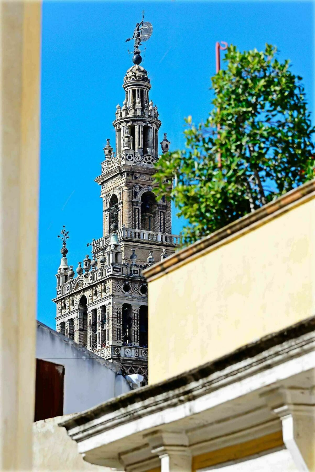 Selecta Venerables Sevilla