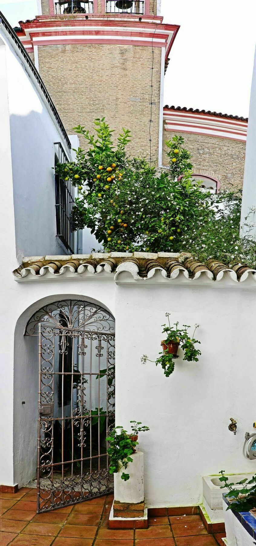 Selecta Venerables Sevilla